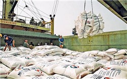 Xuất khẩu gạo giảm liên tiếp trong 2 tháng