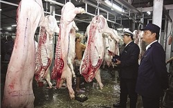 Mức xử phạt hành vi vận chuyển, kinh doanh thịt gia súc, gia cầm không có dấu kiểm soát giết mổ