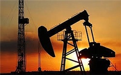 Giá dầu thô tiếp tục treo ở mức cao