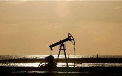 Giá dầu vẫn tiếp tục giữ ở mức cao