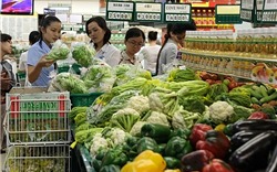 Hà Nội đẩy mạnh tuyên truyền “Tháng hành động vì an toàn thực phẩm” năm 2019