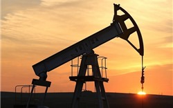 Giá dầu đồng loạt giảm sau khi OPEC quyết định nâng sản lượng