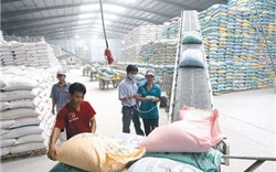 Xuất khẩu các mặt hàng nông sản chính giảm 5,6%