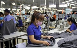 Hàng Việt chưa tăng được doanh thu tại thị trường Đông Âu tiềm năng