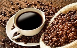 Giá cà phê tiếp tục sụt giảm 100 đồng
