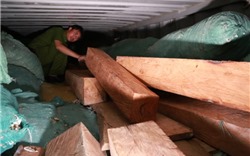 Bắt giữ gỗ quý xuất xứ Ấn Độ trị giá 10 tỷ đồng