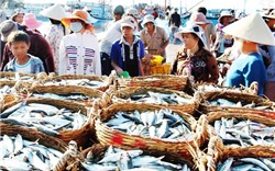 Trung Quốc “nới lỏng” chính sách nhập khẩu cho 33 mặt hàng thủy sản Việt Nam