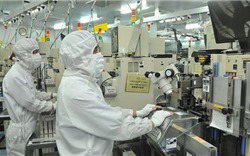 Doanh nghiệp Nhật gia tăng đầu tư vào công nghiệp chế biến, chế tạo của Việt Nam