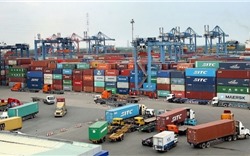 Kim ngạch nhập khẩu hàng hóa trong 5 tháng tăng 10,3%