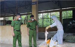 Lạng Sơn: Bắt giữ 6 tạ nầm lợn bốc mùi hôi thối