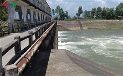 Nước nhiễm mặn, Đà Nẵng lo thiếu nước sinh hoạt