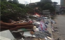 Hà Nội: Khu vực cầu vượt Hoàng Hoa Thám - Văn Cao ngập ngụa rác thải