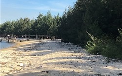 Thừa Thiên - Huế: Rác thải bủa vây bãi biển Hải Dương
