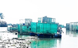 Khánh Hoà: Gấp rút di dời các lồng bè lấn chiếm công trình hàng hải