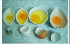 Ăn trứng nào ngon và bổ nhất?