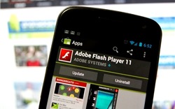 Hãy gỡ bỏ phần mềm Adobe Flash sớm nhất có thể! 