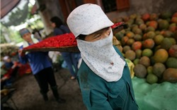 Tiêu chuẩn xác định hộ nghèo ở Việt Nam