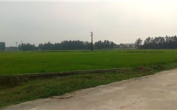 Công bố giá khởi điểm đấu giá đất khu vực Sóc Sơn, Hà Nội