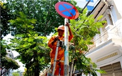 TP Đà Nẵng triển khai cấm đỗ xe ngày chẵn, lẻ tại 10 tuyến đường