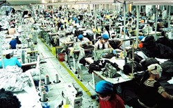 TP Hồ Chí Minh: Có 26.000 việc làm cho người lao động trong tháng 3