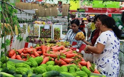Nửa đầu tháng 11, giá thực phẩm tươi sống ổn định, rau xanh giảm giá