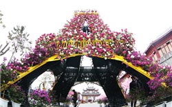 Khai mạc Lễ hội “Kỳ quan muôn sắc hoa” lớn nhất miền Bắc tại Hạ Long