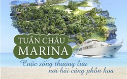 Tuần Châu Marina: Cuộc sống thượng lưu nơi hải cảng phồn hoa