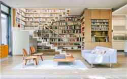 15 mẫu nội thất phòng khách đẹp hoàn hảo cho những người mê đọc sách