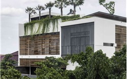 “Lớp da tự nhiên” của ngôi nhà xanh ở Indonesia