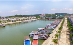 Góp ý về đồ án Quy hoạch phân khu tỷ lệ 1/2.000 Khu công nghiệp và cảng biển tỉnh Quảng Ninh