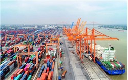 Vì sao doanh nghiệp logistics Việt chỉ chiếm 5% trên \"sân nhà\"?