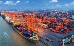 Thương mại Việt Nam - châu Mỹ tăng 5 lần trong 10 năm qua