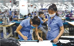 DN xuất khẩu hàng may mặc Việt Nam có đủ đơn hàng để sản xuất hết quý III