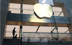 Apple có khả năng cắt giảm sản lượng iPhone 13 do thiếu chip