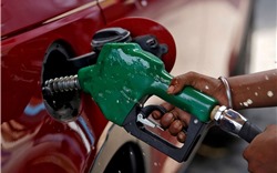 Giá xăng dầu hôm nay 15/5: Bật tăng mạnh hơn 2%
