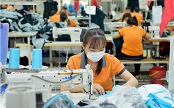 Mỹ là thị trường xuất khẩu số 1 của hàng hóa “made in Việt Nam”