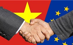 Quan hệ thương mại Việt Nam - EU: Từng bước đi vào chiều sâu