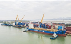 Cảng Chu Lai lần đầu hợp tác xuất khẩu với doanh nghiệp nước ngoài