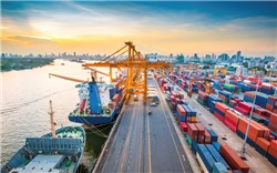 TP.HCM chính thức thu phí dịch vụ cảng biển từ ngày 1/7
