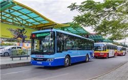 Hà Nội điều chỉnh phương án vận hành 118 tuyến buýt trợ giá