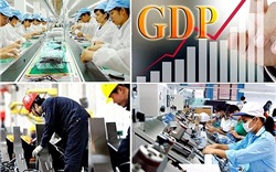 Hà Nội tiến hành tổng điều tra kinh tế năm 2021