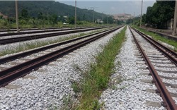 Bộ GTVT đề xuất cơ chế thực hiện vốn bảo trì hạ tầng đường sắt