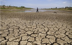 Năm 2021, tình trạng thiếu hụt nguồn nước, hạn mặn sẽ diễn ra gay gắt