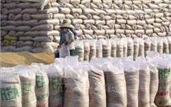 Năm 2021, ngành lúa gạo mang nhiều kỳ vọng tăng trưởng