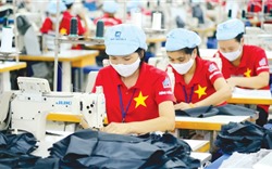 Kim ngạch xuất khẩu năm 2023 dự kiến đạt 393 - 394 tỷ USD