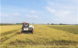 BR-VT: Cơ giới hóa nông nghiệp và ứng dụng công nghệ sau thu hoạch