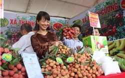 Hàng hóa Việt Nam ngày càng được ưa chuộng tại thị trường Nhật Bản