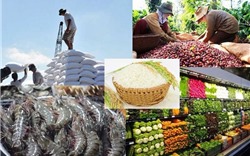 Xuất khẩu nông, lâm, thủy, sản 11 tháng đạt hơn 49 tỷ USD