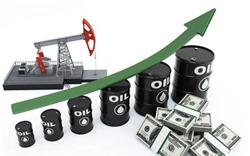 Giá xăng dầu hôm nay 22/5: Giá xăng dầu trong nước chiều nay có thể tăng theo xu thế dầu thế giới