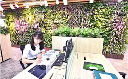 Đến cuối năm 2025, Hà Nội sẽ cung cấp 68.400m2 diện tích văn phòng xanh